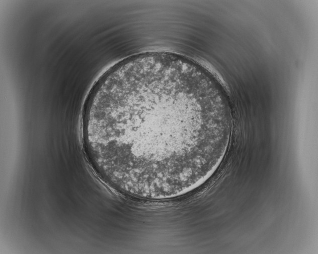 X0000115121076200911241342