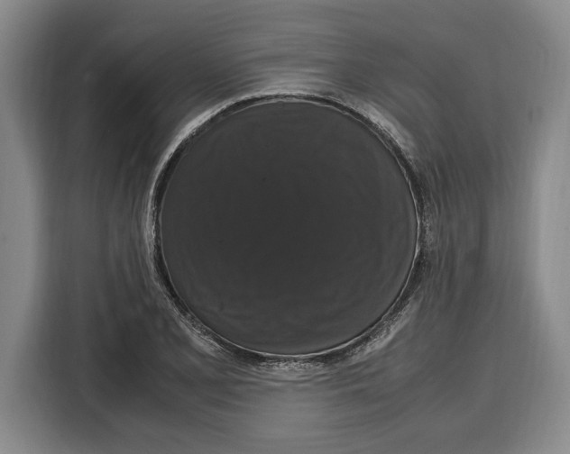 X0000115121077200911241342