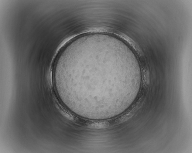 X0000115121078200911241342