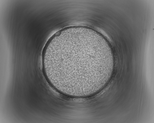 X0000115121079200911241342