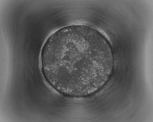 X0000115121080200911241342