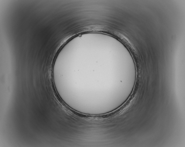 X0000115121081200911241342
