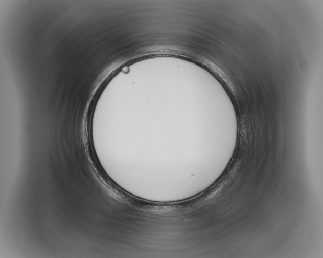 X0000115121082200911241342