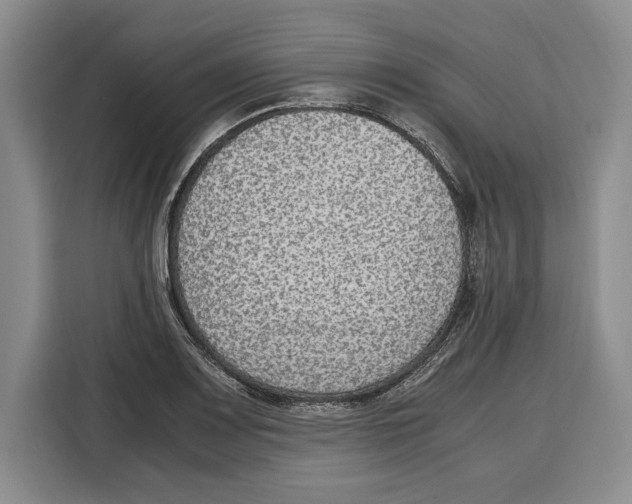 X0000115121083200911241342