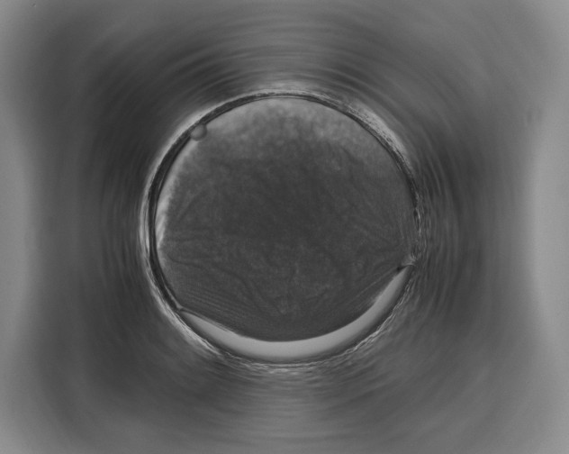 X0000115121084200911241342