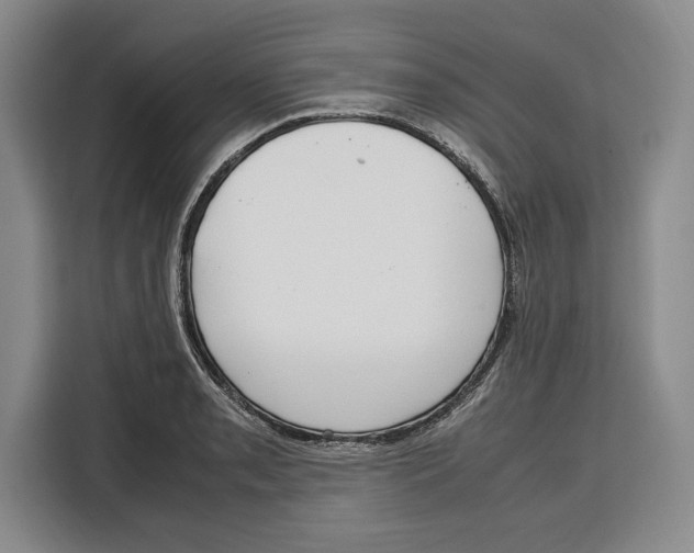 X0000115121085200911241342