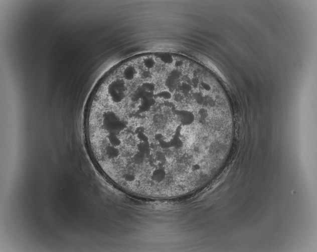 X0000115121087200911241342