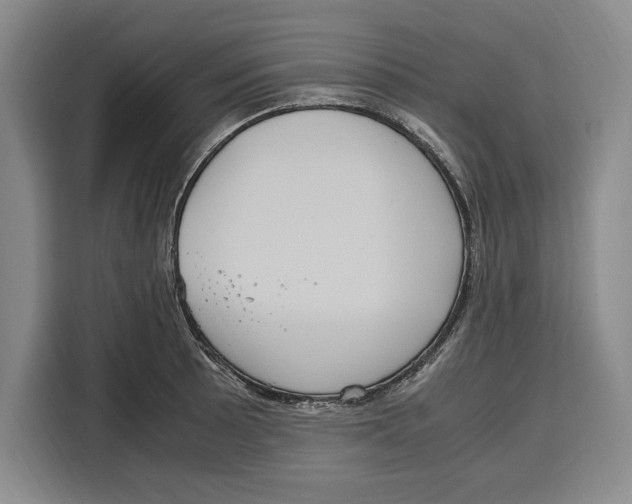 X0000115121089200911241342