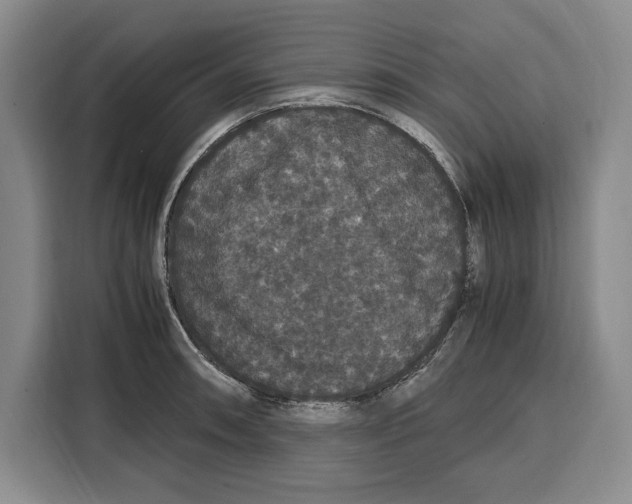 X0000115121090200911241342