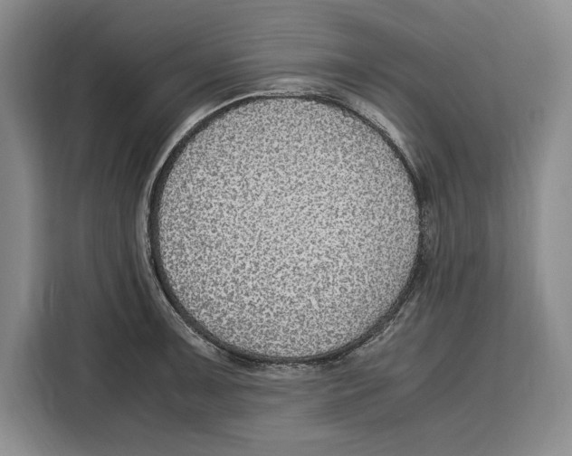 X0000115121091200911241342
