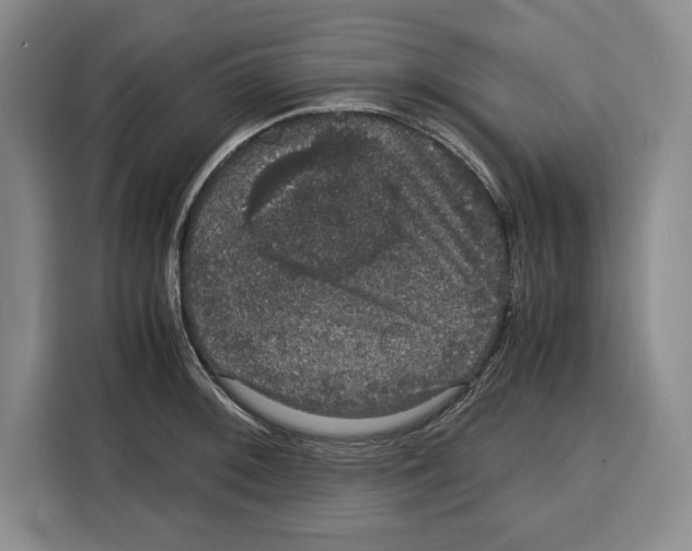 X0000115121092200911241342