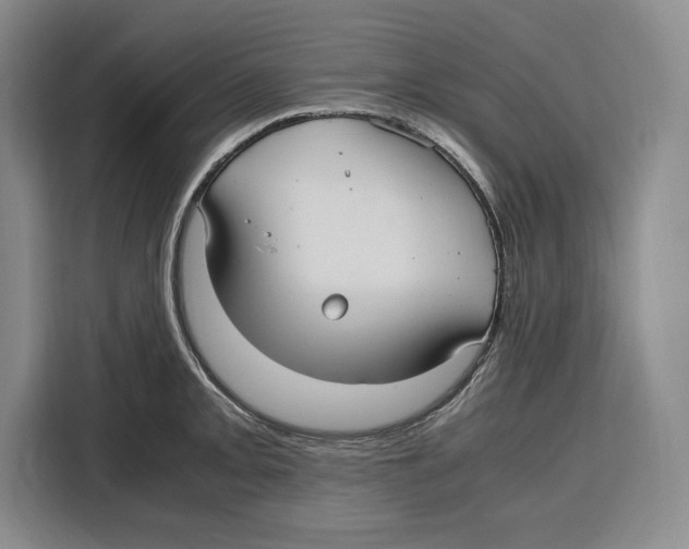 X0000115121093200911241342