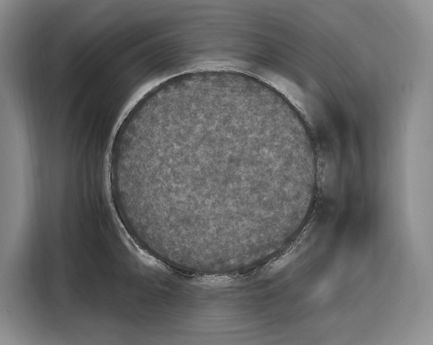 X0000115121094200911241342