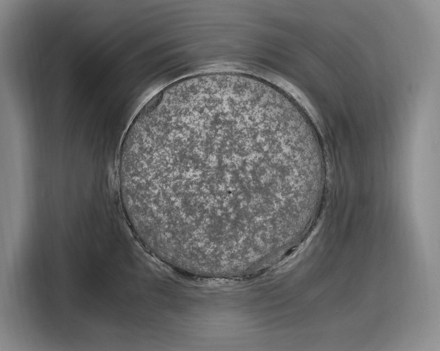 X0000115121097200911241342