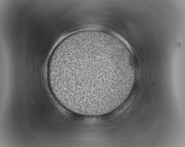 X0000115121099200911241342