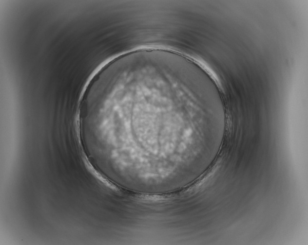 X0000115121100200911241342