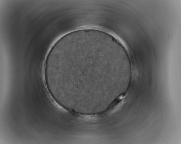 X0000115121102200911241342