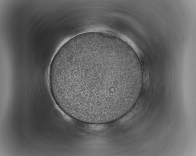 X0000115121103200911241342