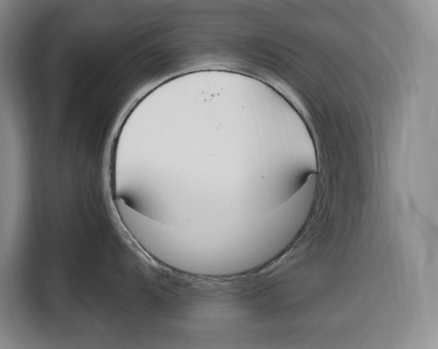 X0000115121104200911241342