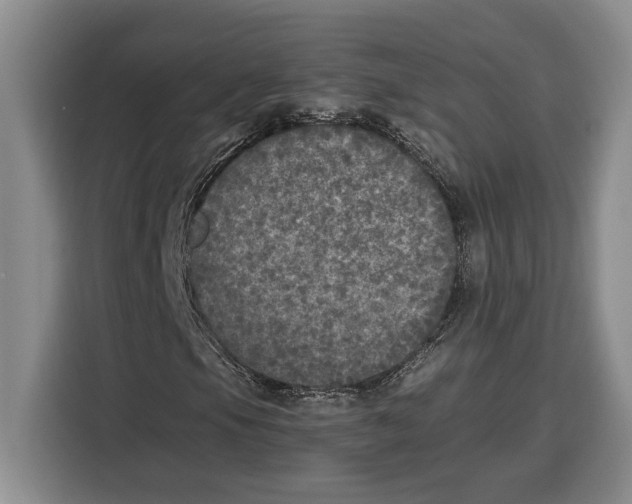 X0000115121105200911241341