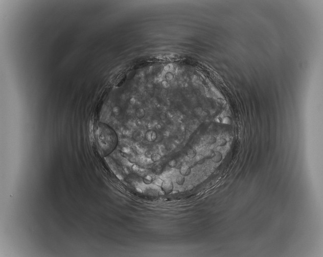 X0000115121106200911241341