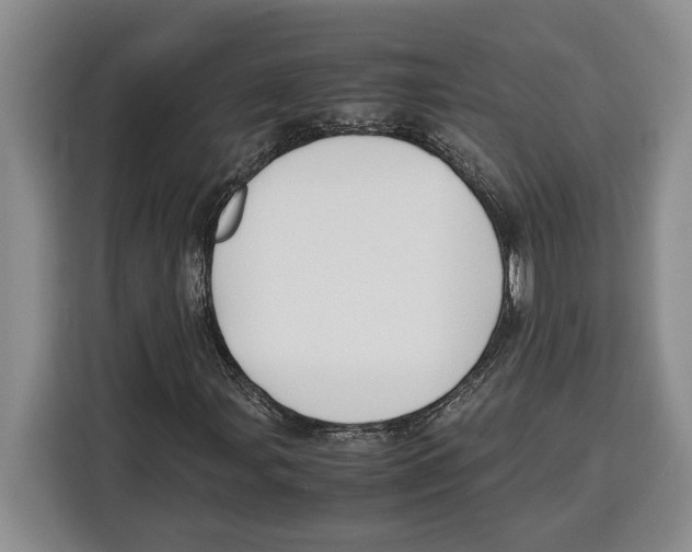 X0000115121107200911241341