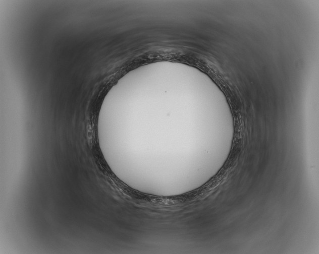 X0000115121109200911241341