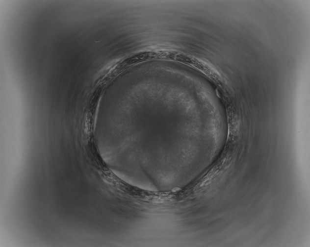 X0000115121110200911241342