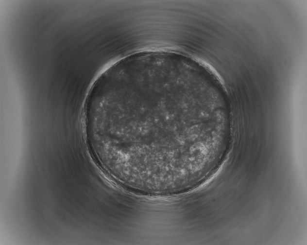 X0000115121114200911241342