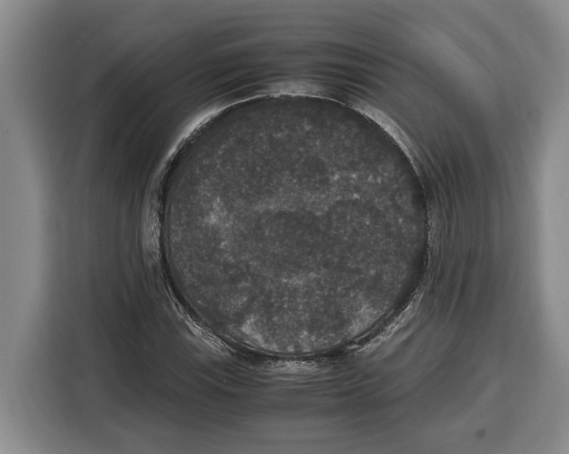 X0000115121115200911241342