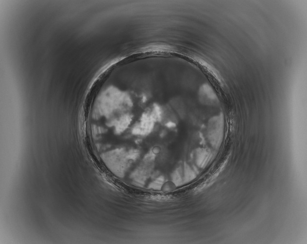 X0000115121117200911241342