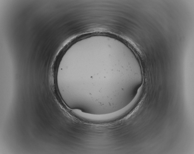 X0000115121118200911241342