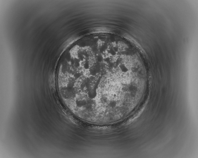 X0000115121121200911241342