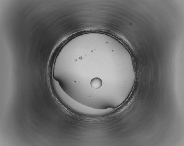 X0000115121122200911241342