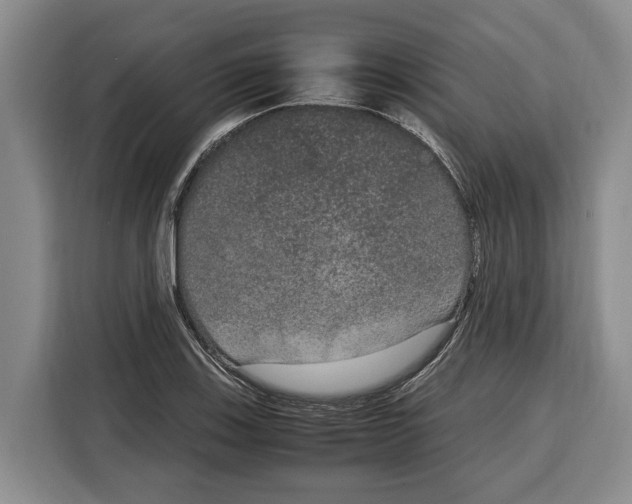X0000115121123200911241342