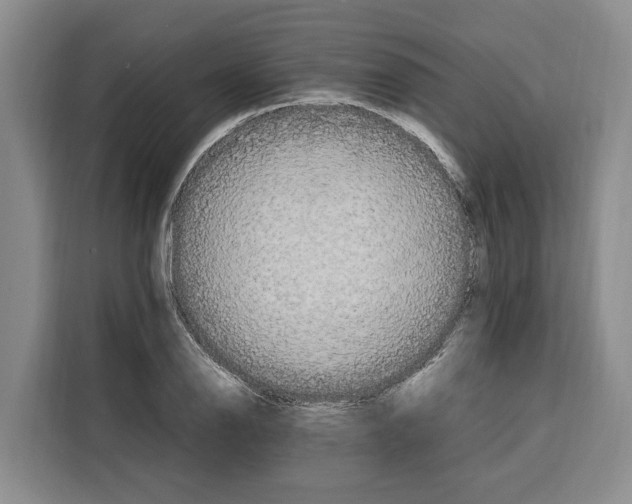 X0000115121126200911241342