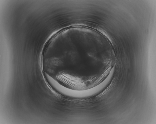 X0000115121127200911241342