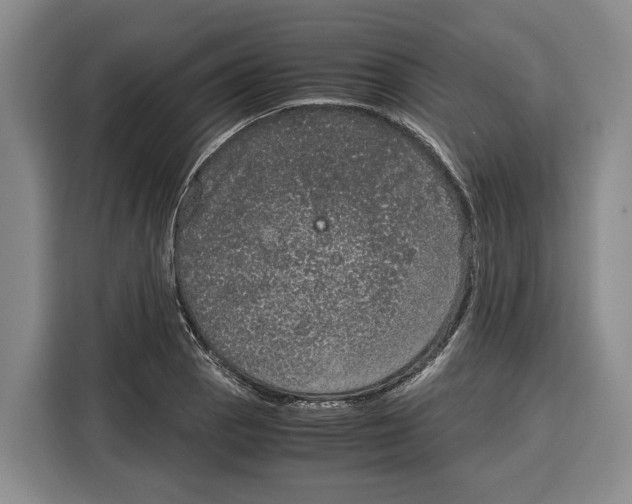 X0000115121129200911241342