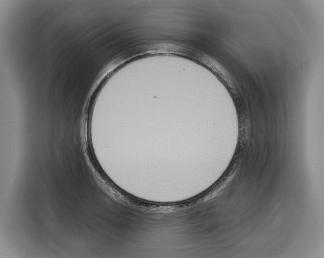 X0000115121130200911241342
