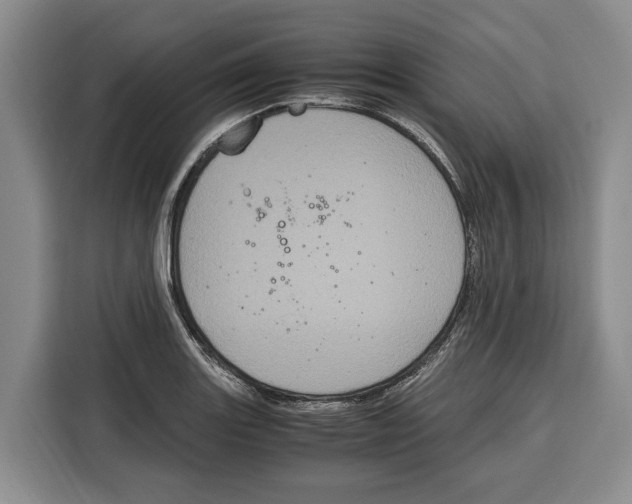 X0000115121131200911241342