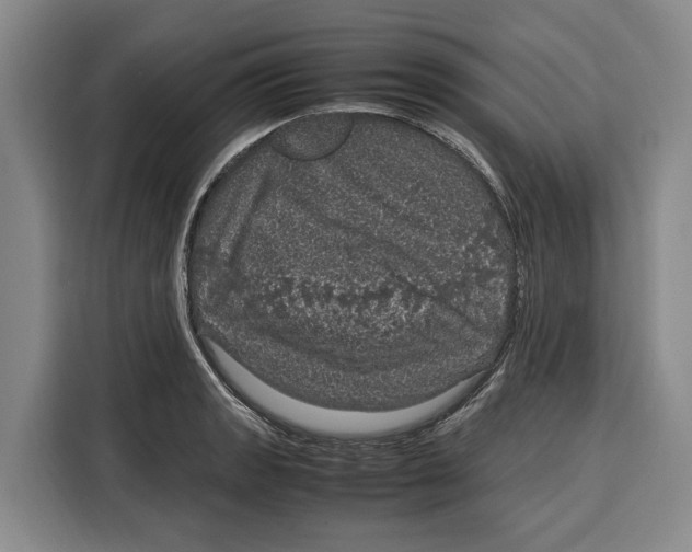 X0000115121133200911241342