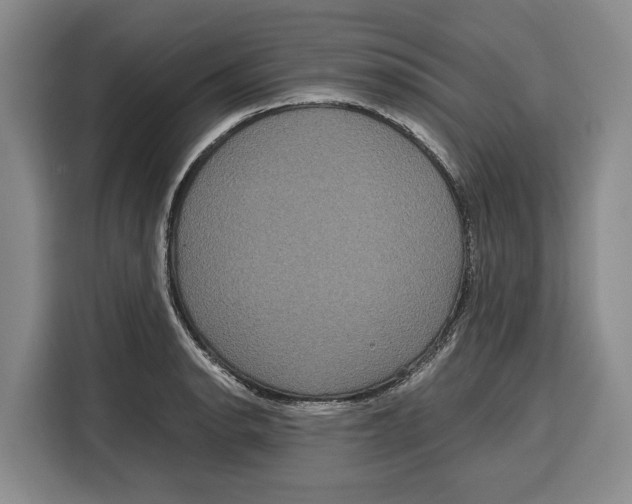 X0000115121134200911241342