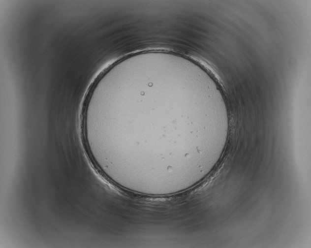 X0000115121135200911241342