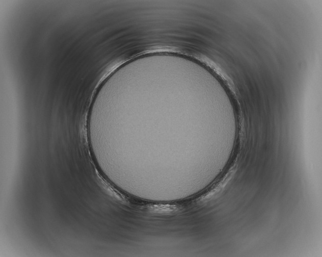 X0000115121137200911241342