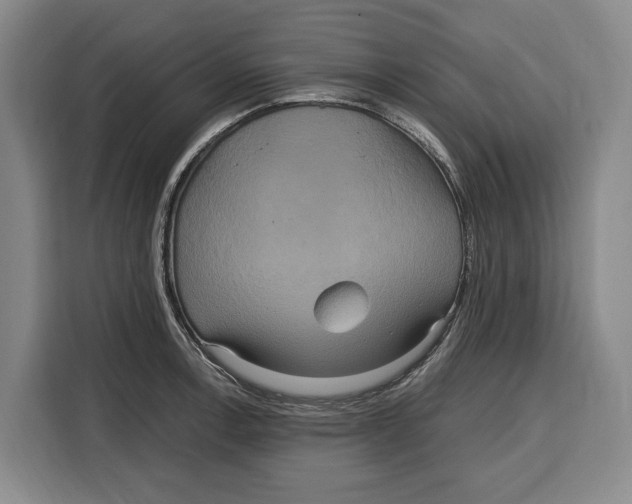 X0000115121138200911241342