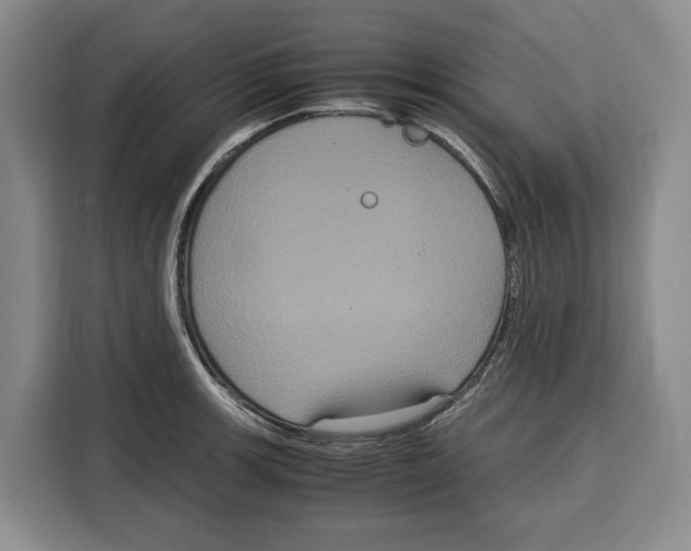 X0000115121139200911241342