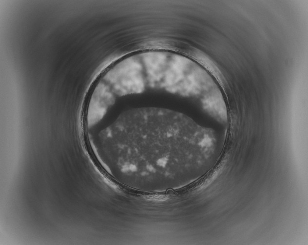 X0000115121141200911241342