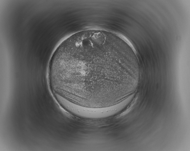 X0000115121149200911241342
