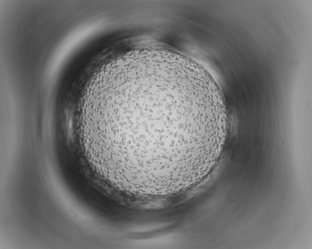 X0000115121150200911241342