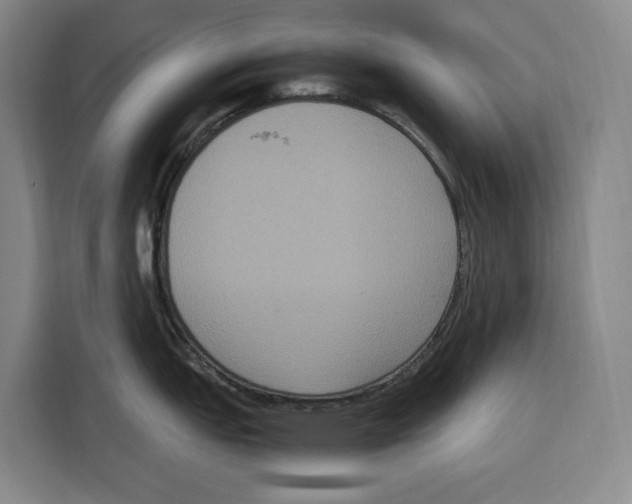 X0000115121151200911241342